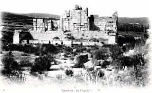 ALGERIE-RUINES ROMAINES DE LAMBESE (37)